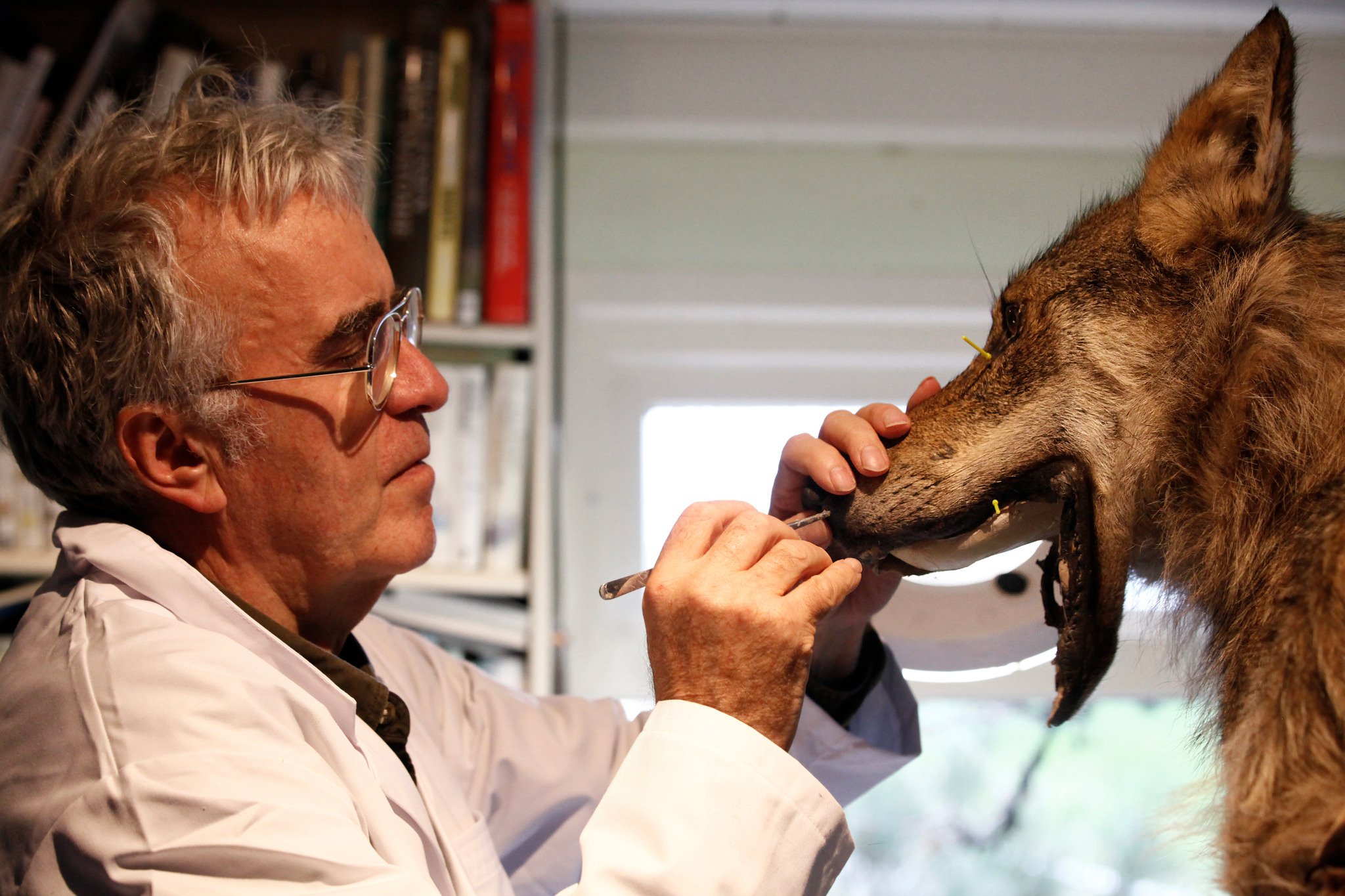 Bas Perdijk aan het werk in het atelier